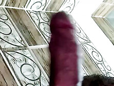 8 Inch Cock