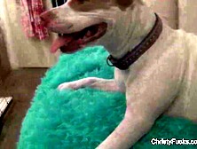 Behind the scenes with Christy Mack and Kirsten Price