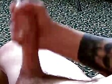 TRAINED TO PLEASE Witness the Ascension of a Sexual Masterpiece