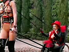 Busty Hollywood Babes 4