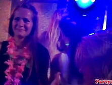 Real euro newbie giving blowjob to lucky dude