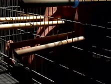 Blonde Bondage Slave Girl Faceslapped And Dominated By Dominatrix In BDSM Dungeon