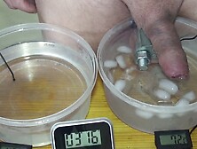 Testicle Heat Exchange Experiment By Slave Ratenn