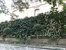 Vintage Amateur Orgy with Horny Busty MILFs Taking Big Cocks and Cum on Face