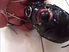 Man Meat and Just What its' Good For