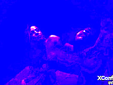 A Tribute To Anal Sex And Women's Satisfaction