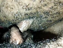 Verified Amateurs - lesbians porn