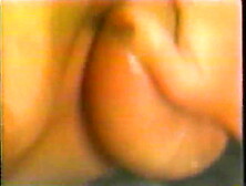 I Bet All These Asses