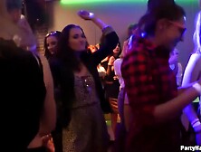 Partyhardcore - 2017-08-21