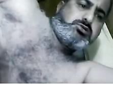 Iraqi Daddy Bear