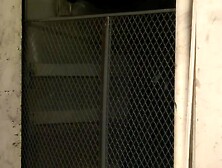 The Angel of Pleausre