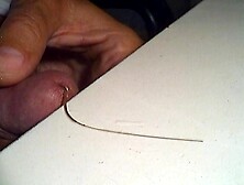 Rat-Tailed Maggot 2