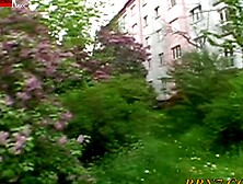 Mouthwatering Morsel Devours the Day