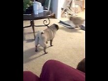 Wifey uses toy while mom it other room