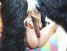 Fun fucking instead of cleaning