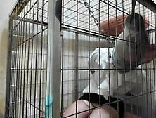 Pet Girl In Cage 5