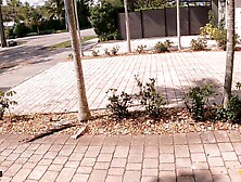 Roadside XXX - Harlow West’s College Body Used And Overspread In Cum