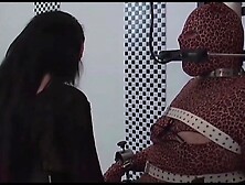 Lady Lara - 1 - 3 With Bizarrlady Lara And Rubber Slave