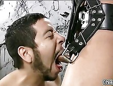 Hot Guy Rims And Swallows Cum Of Young Dude In Harness