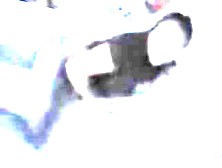 Latina gave me a hot cock-sucking