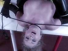 Darkwing 2 Darkwing Returns