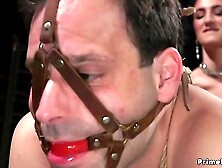 Alt dom spanks butt plugged man slave