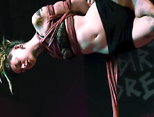 Skinny Goth Girl Get Shibari Suspension - Bondage Bdsm Private Sesion