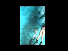 Jessica Alba collection