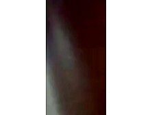 Exotic4K - Hot Ebony Babe Gives A Sensual Blowjob And Rides Her Man's Dick