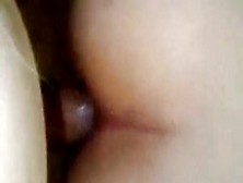 Anal Sex With Bulgarian Girl