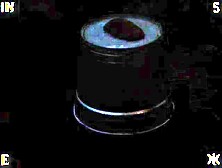 Vintage Enslaved on a farm