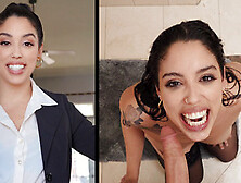 Selling Everything Starring Vanessa Sky,  Van Wylde