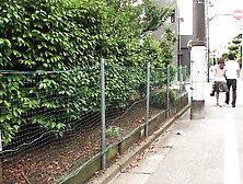 Fresh Wives Almost Fainting from Creampies vol. two - Part. three