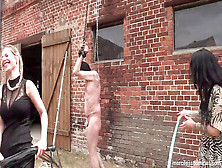 Hd Videos,  Hitting,  Mistress T