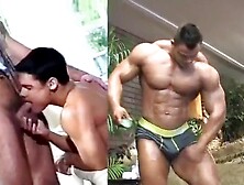 Muscle Worship Mash Up