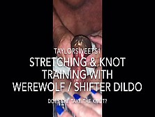 Stretching & Knot Training Taylor’S Vagina - Werewolf / Shifter Dildo - Will She Take The Knot?