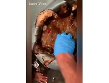 Filthy Whore Eating Shit From A Public Toilet 2