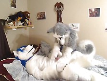 Fursuit 2