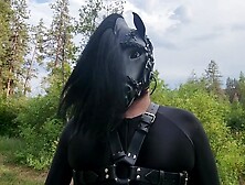 Pony Play - Pony is let loose in the pasture then made to exercise - Full