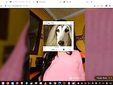 ORLA86 cheap ugly Arabian Morocco fucker with dog face