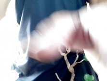 Exxxotica... ???????????? Quero ???? artista de filmes Exxxotico ????