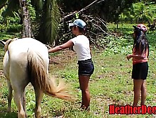 Heatherdeep. Com Teeny Sluts Vs Horse Size Dong