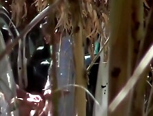 Business chap spied with a prostitute