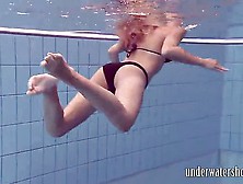 Lucy Swim In The Pool