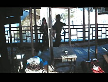 Karate,  Kusse,  Blonde Katzen