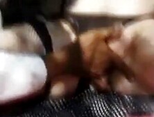 British man Omar screws a mother I'd like to fuck outdoors in a FMM trio