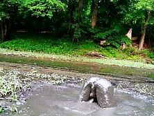 Secret Sloppy Mud Pit Naked In Public Forest