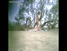 Voyeur Public Beach Sex Couple