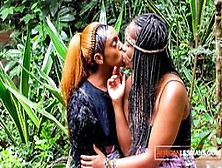 African Festival Outdoor Lesbian Makeout After The Molly Hits