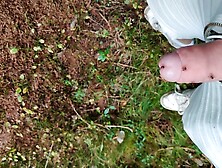 Ants Bite And Spray Acid On Young Cock